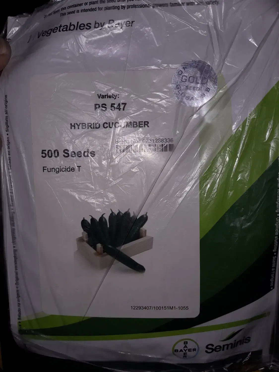 بذر خیار گلخانه ای|گل و گیاه طبیعی|کهنوج, |دیوار