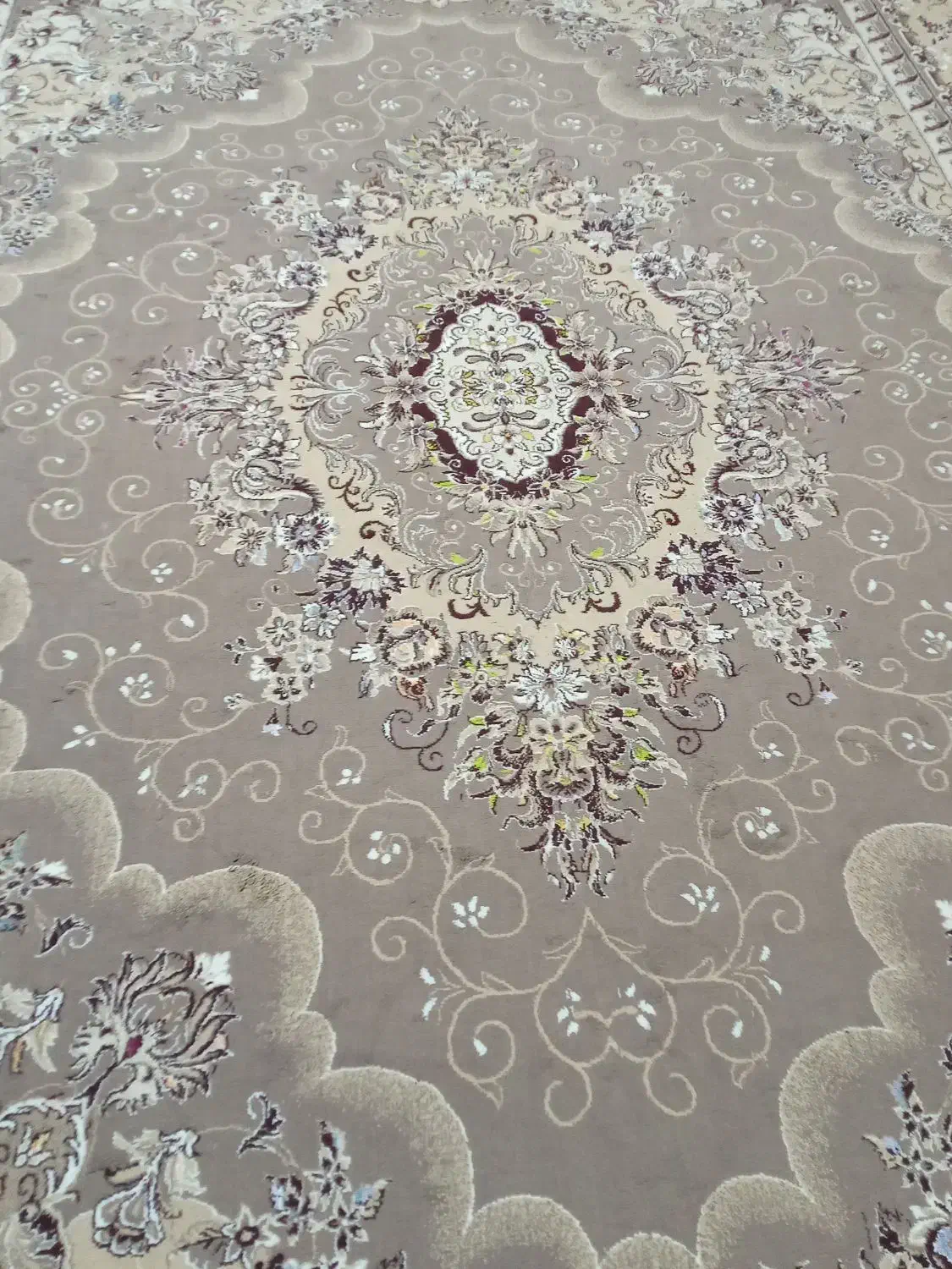 فرش ۱۲متری گردویی|فرش|سرپل ذهاب, |دیوار