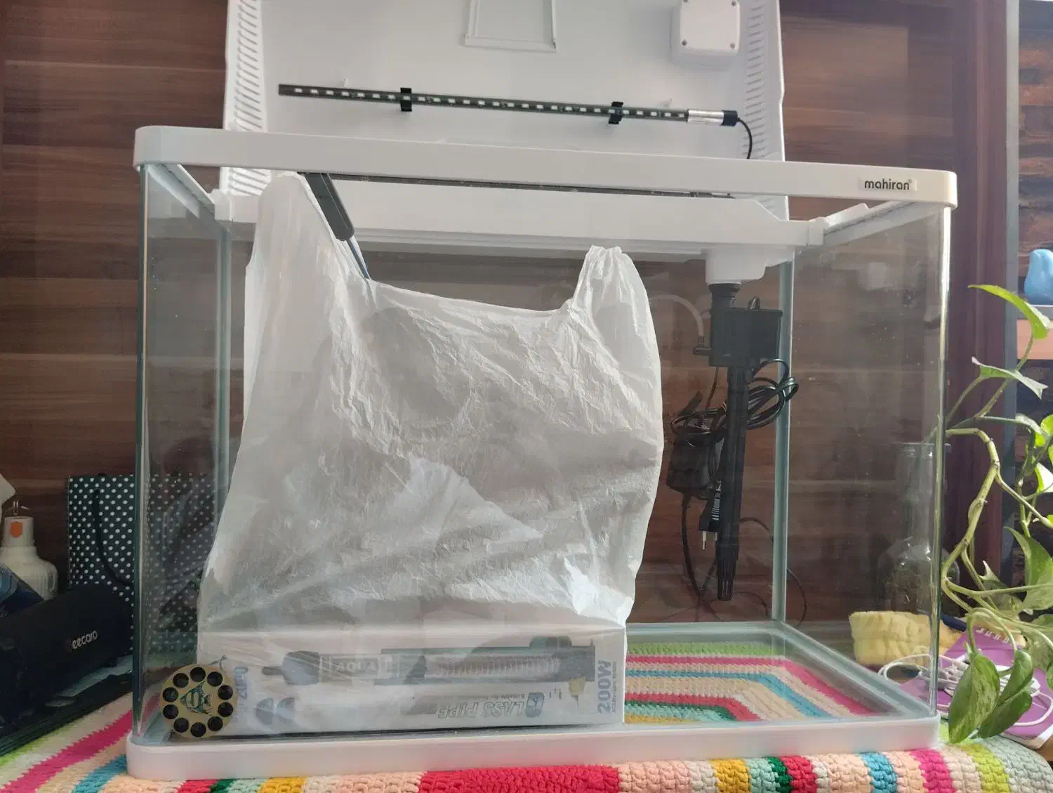 آکواریوم به همراه تمام لوازم|ماهی|یزد, |دیوار