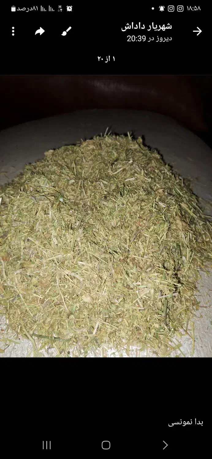 کاه عدس ا|لوازم جانبی حیوانات|هیر, |دیوار