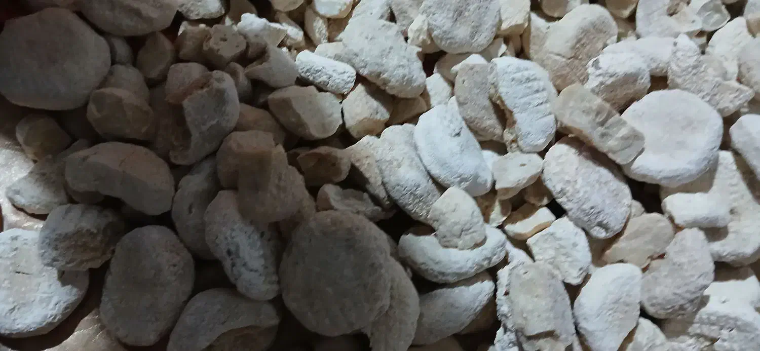 کشک|خوردنی و آشامیدنی|زاغه, |دیوار