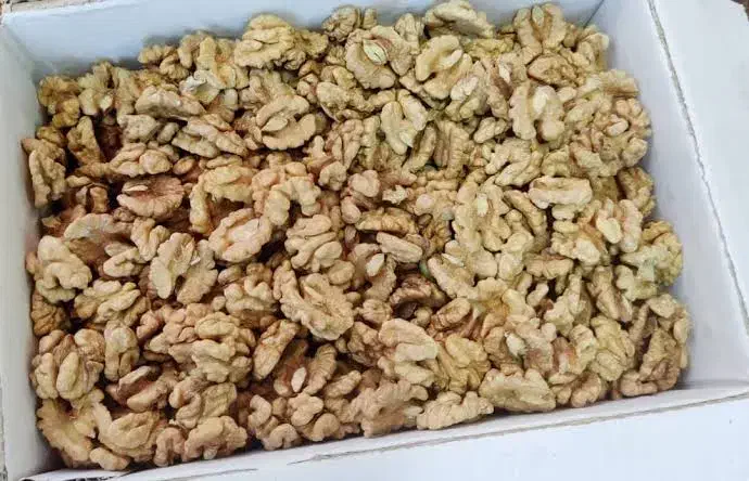 مغز گردو|عمدهفروشی|قم, باغ شریفی|دیوار