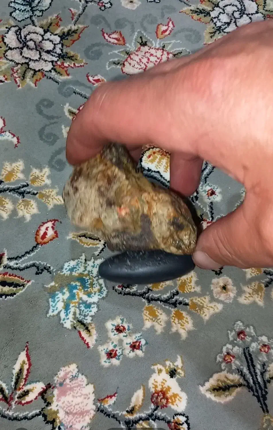 فروش شهاب سنگ آهن ربای|کلکسیون اشیاء عتیقه|تهران, دکتر هوشیار|دیوار