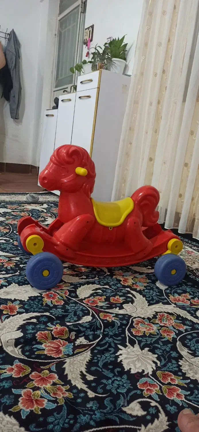 اسب راک|اسب و تجهیزات اسب‌سواری|تربت جام, میان جام|دیوار