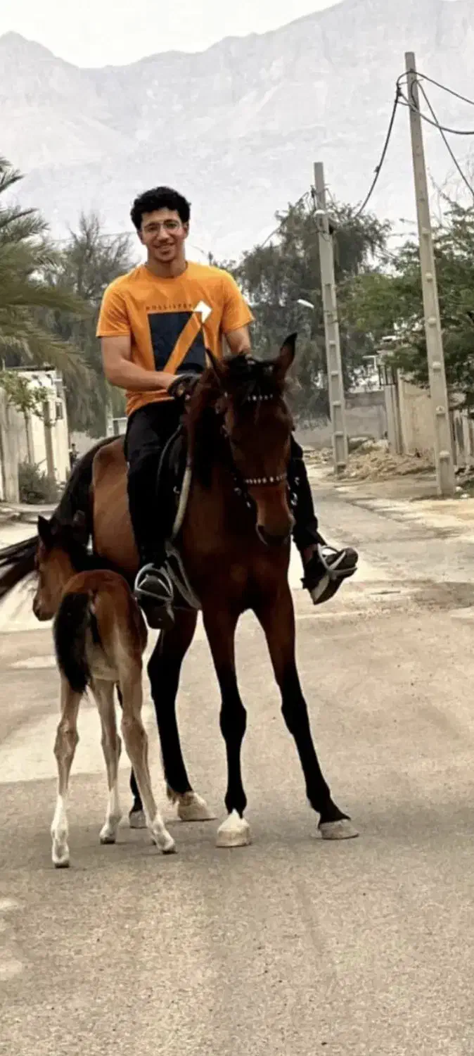 اسب|اسب و تجهیزات اسب‌سواری|کوشکنار, |دیوار