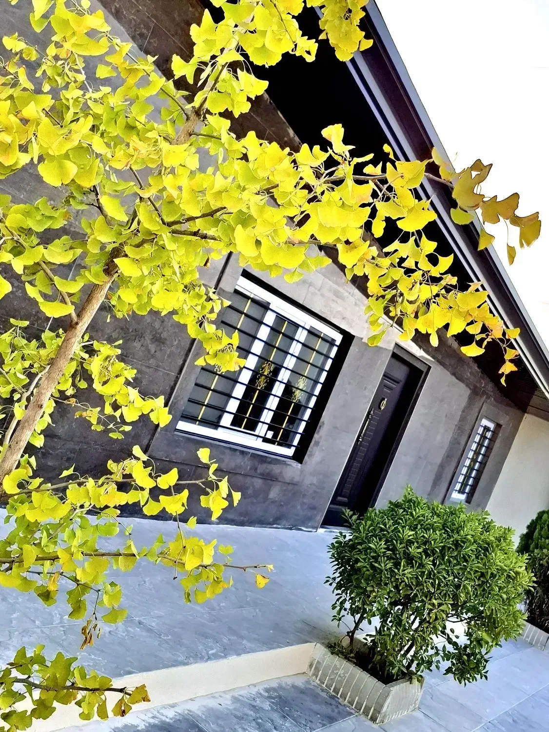 باغ و باغچه بنا دار|فروش زمین و ملک کلنگی|تهران, یافت آباد شمالی|دیوار