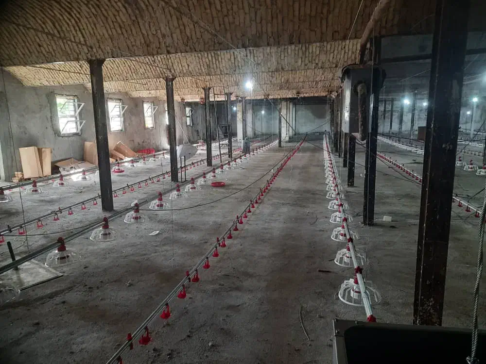 صفر تا صد تجهیزات مرغداری گوشتی و تخمگذار|ماشینآلات صنعتی|تهران, توحید|دیوار