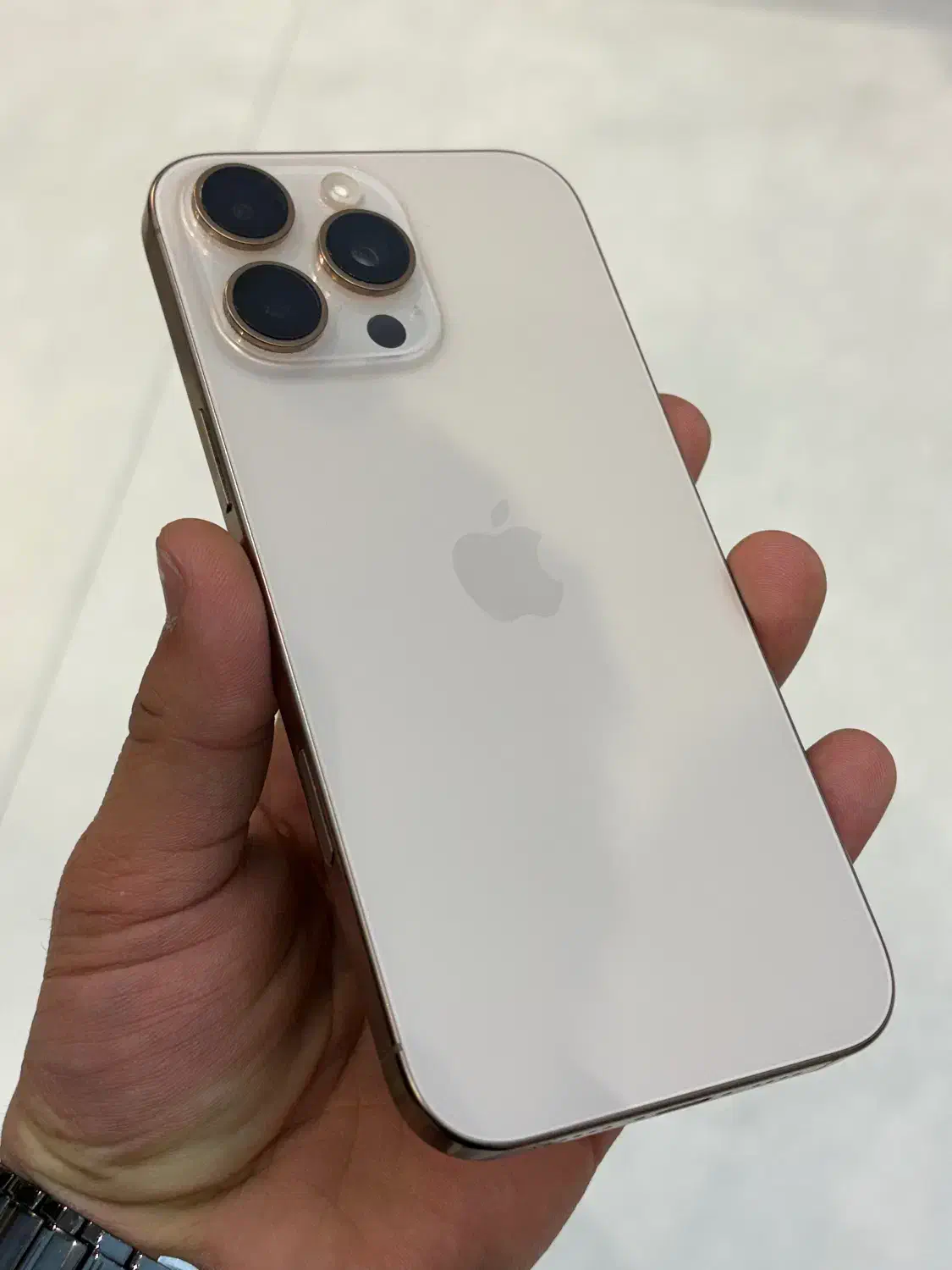 16promax 256|موبایل|مشهد, هنرستان|دیوار