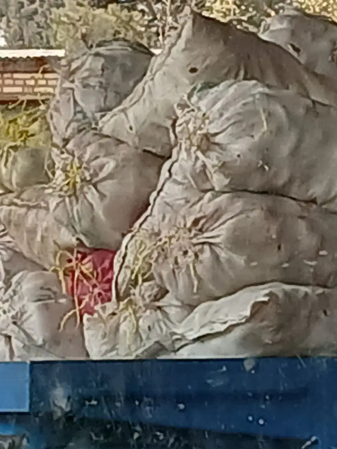 کارگر|استخدام معماری، عمران و ساختمانی|ساوه, |دیوار