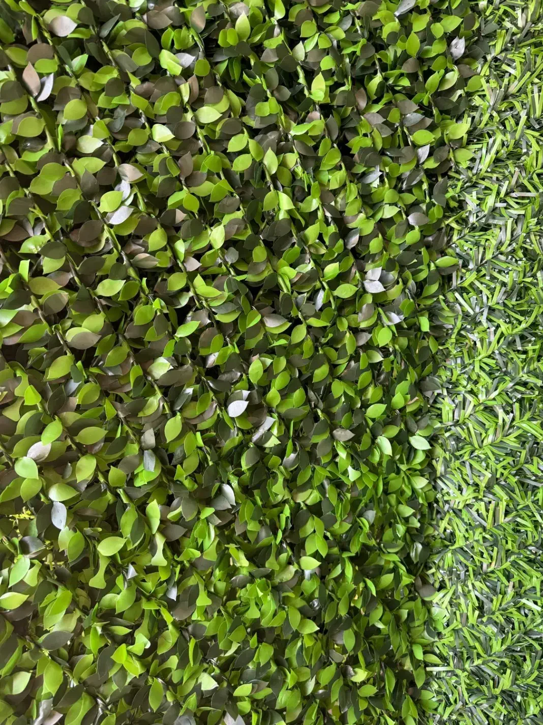 فنس چمنی وفنس برگ ریحون وانگور مستقیم ازتولیدی|مصالح و تجهیزات ساختمان|ارومیه, |دیوار