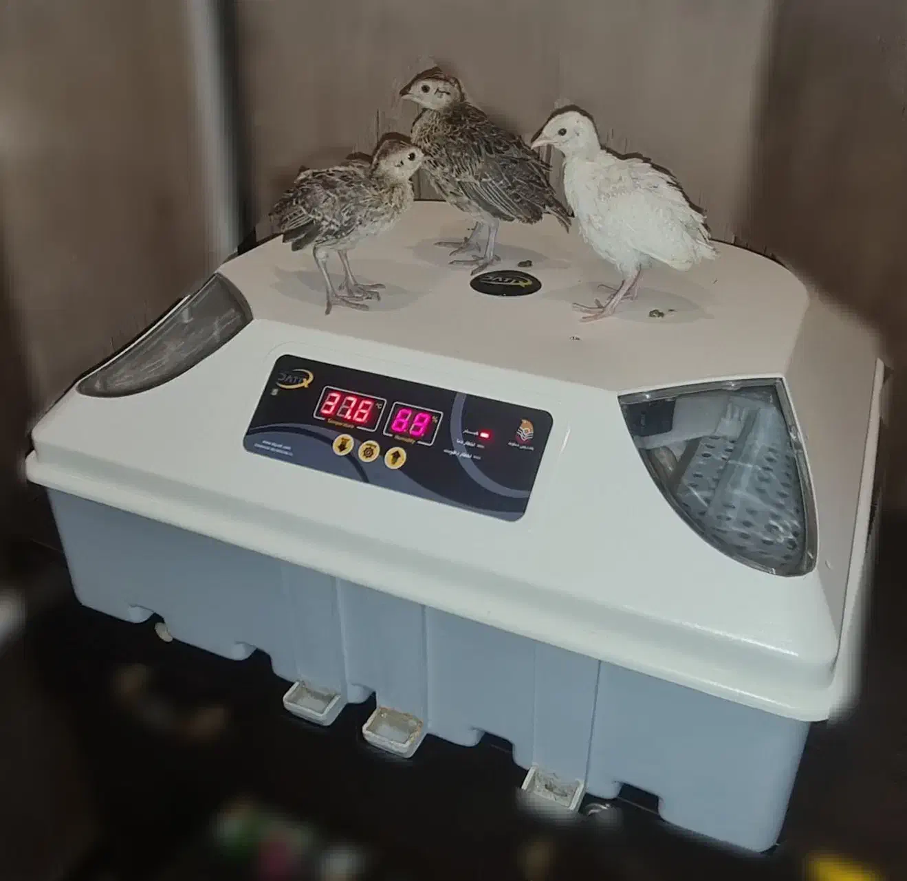 کسب درآمد عالی بادستگاه، جوجهکشی و پرورش طیور|ماشینآلات صنعتی|کرمانشاه, |دیوار