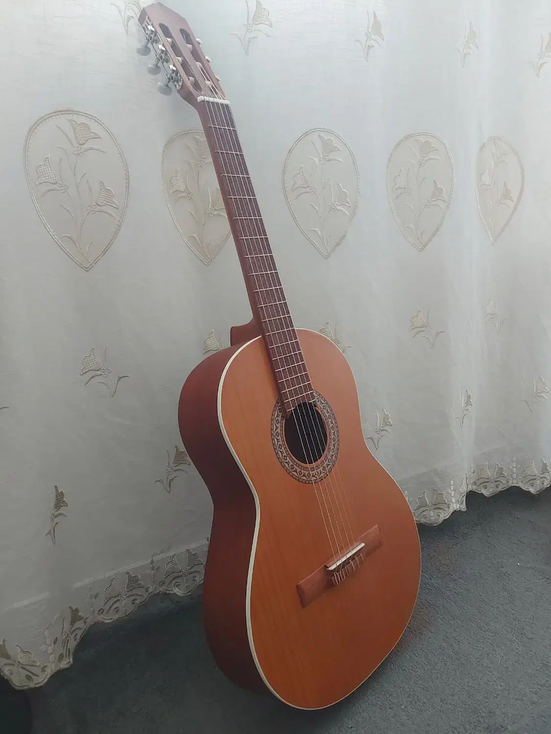 گیتار پارسی m5|گیتار، بیس، امپلیفایر|تهران, گلستان (شهرک راه آهن)|دیوار