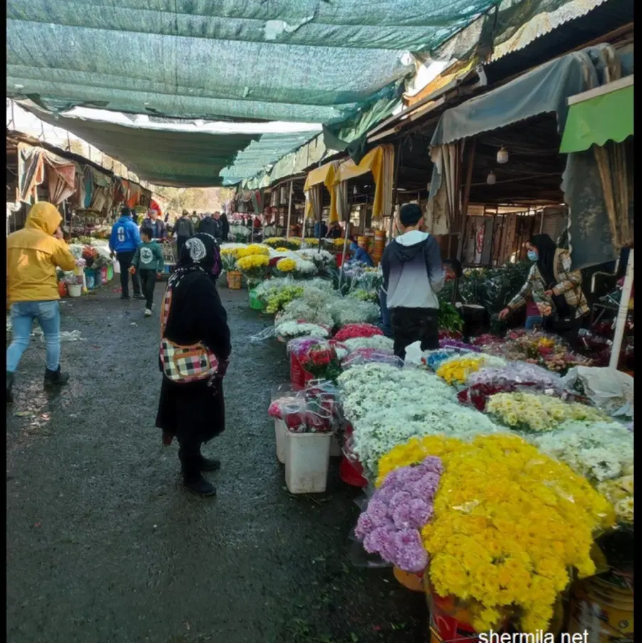 مشارکت گل گلخانه دار|گل و گیاه طبیعی|تهران, بازار گل خاوران|دیوار