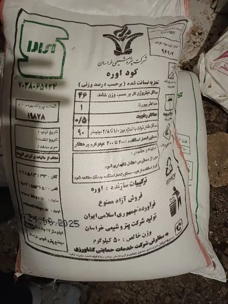 کود سیاه|گل و گیاه طبیعی|گرگان, |دیوار