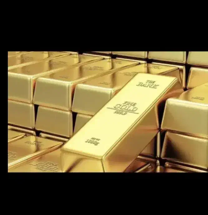 سرمایه آزاد|خدمات مالی، حسابداری، بیمه|خورموج, |دیوار