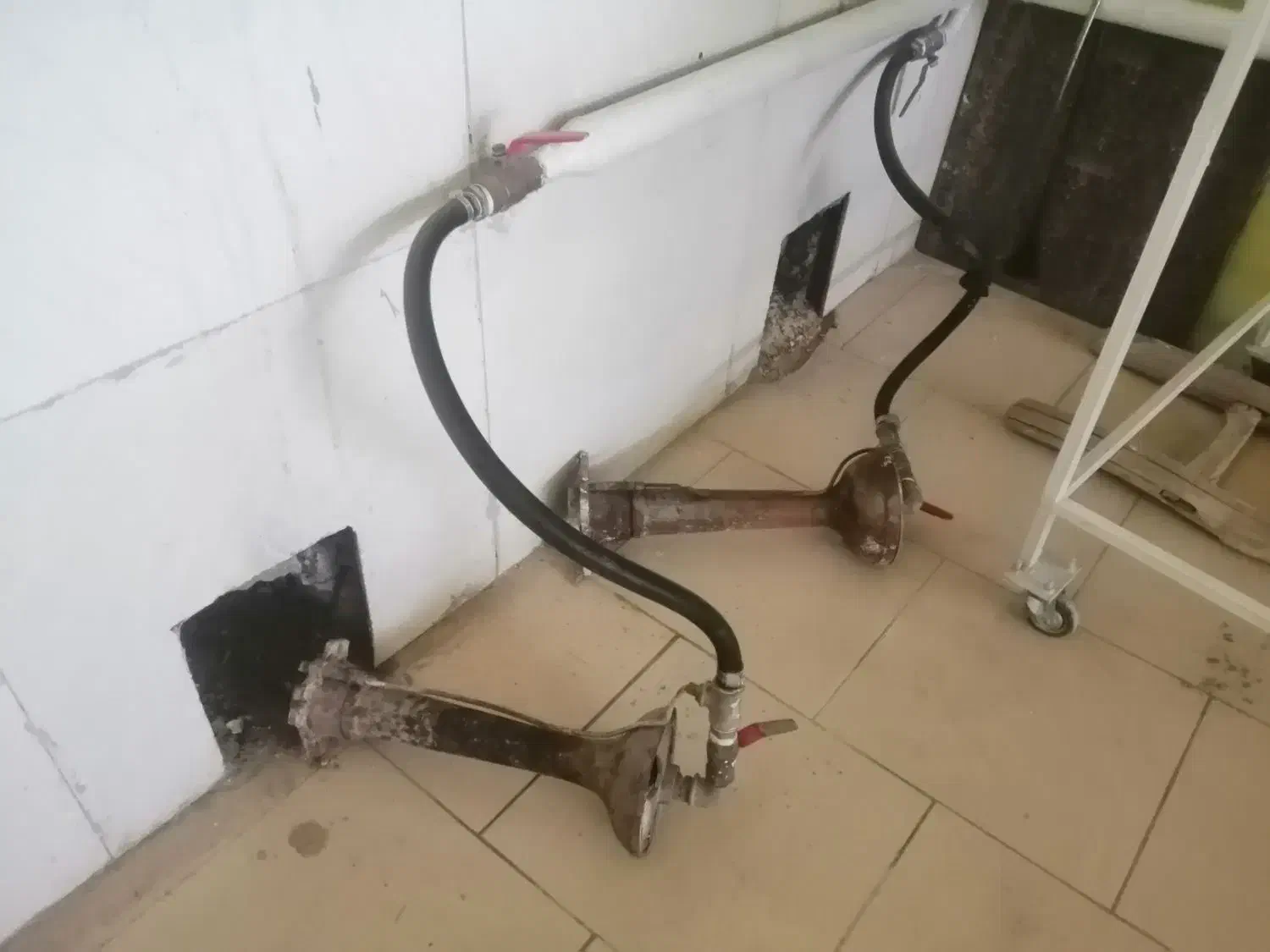 نانوایی|فروشگاه و مغازه|چناران, |دیوار