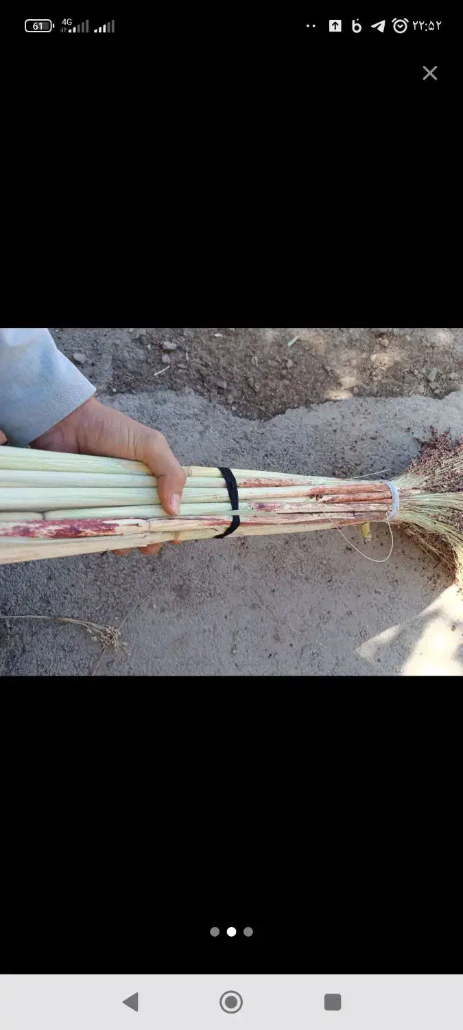 جارو محلی دستی (گزی گال)|عمده‌فروشی|روانسر, |دیوار
