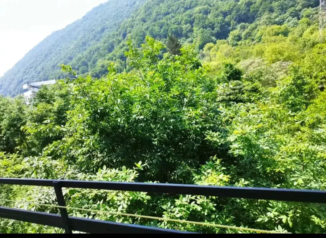 ۴۰۰متر ویلا دربست۴ خ تراس چیدمانی ویو بینظیر شیک|اجارهٔ خانه و ویلا|رامسر, |دیوار