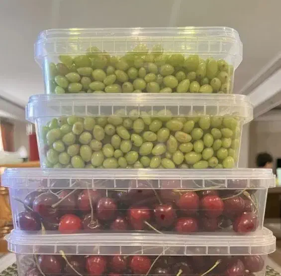 دربس|ظروف نگهدارنده، پلاستیکی، یک‌بارمصرف|دوگنبدان, |دیوار