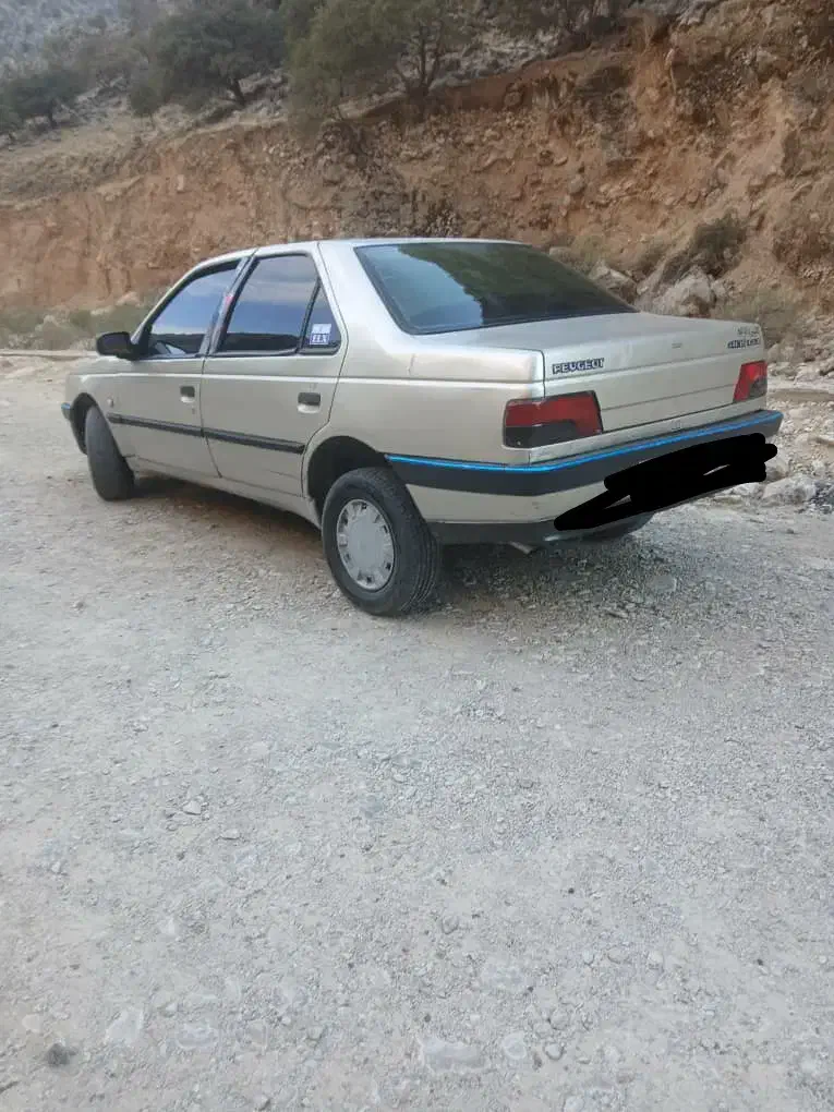 ۴۰۵ رنگ بژ|خودرو سواری و وانت|دهدشت, |دیوار