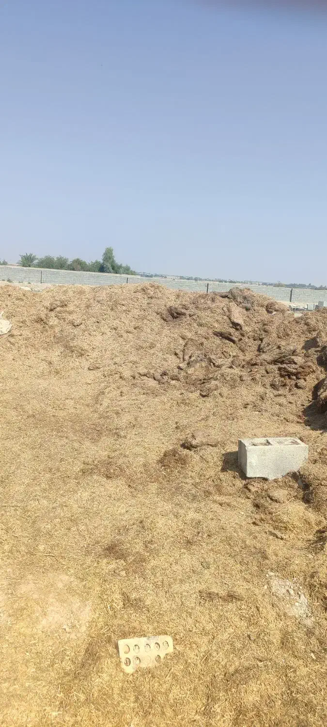 کاه گندم|حیوانات مزرعه|باوی, |دیوار