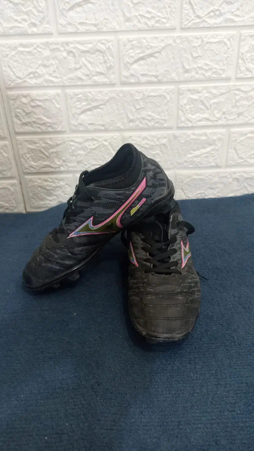 کفش چمن|کیف، کفش، کمربند|شیراز, پشم شیشه|دیوار