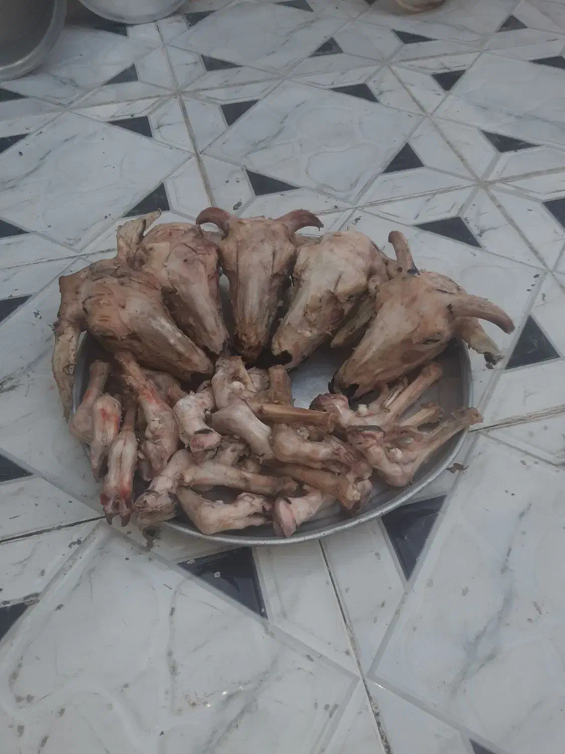 کله پاچه بره ۵۰۰ هزار تومان|خوردنی و آشامیدنی|خرمشهر, |دیوار