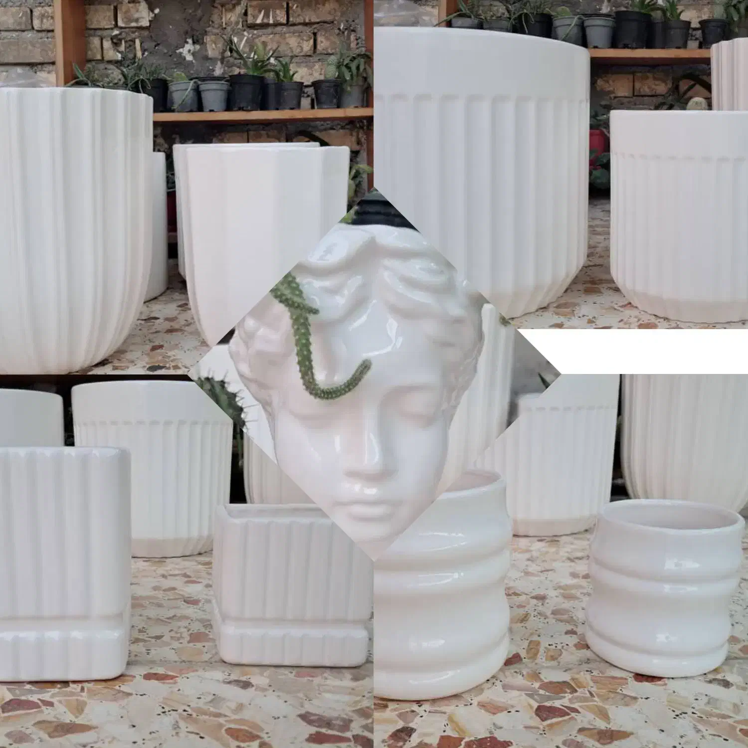 گلدان و گل ارزان|گل و گیاه طبیعی|لالی, |دیوار