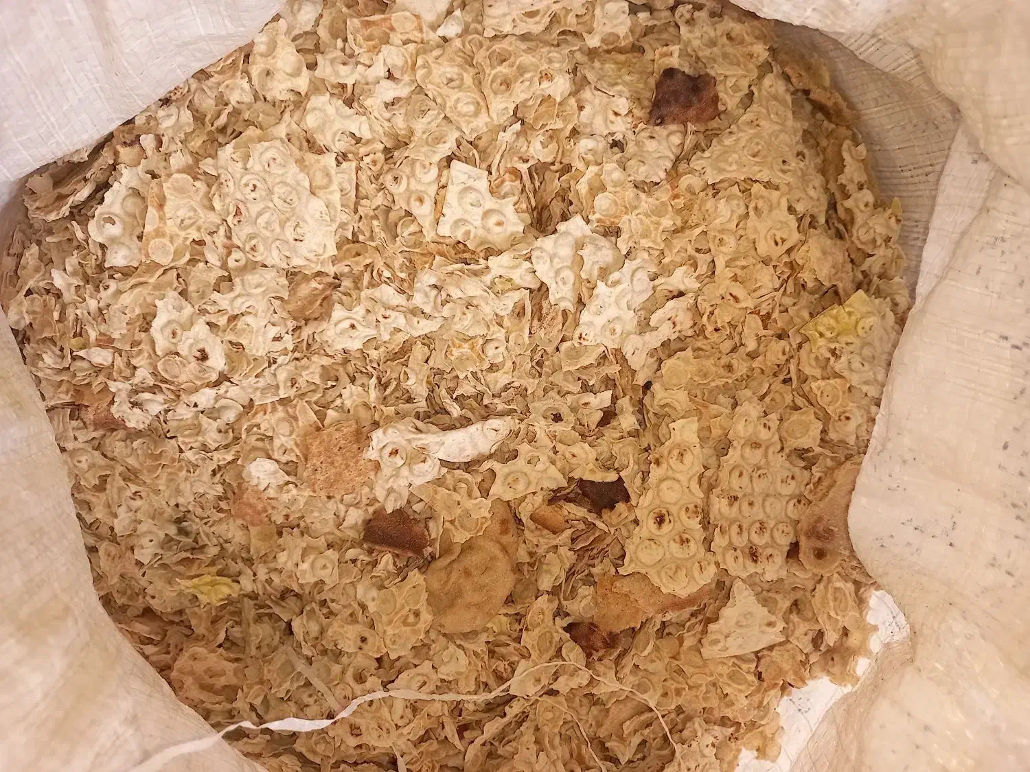 نان خشک|حیوانات مزرعه|بندر کنگان, |دیوار