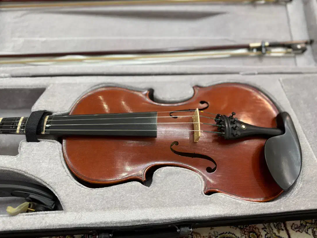 ویولن|ویولن|پردیس, فاز ۸|دیوار