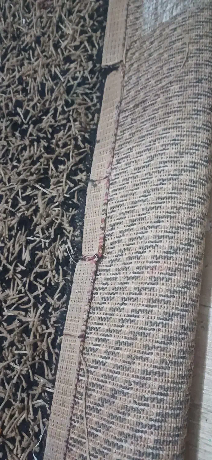 فرش ریش ریش|فرش|مشهد, تربیت (صدف)|دیوار