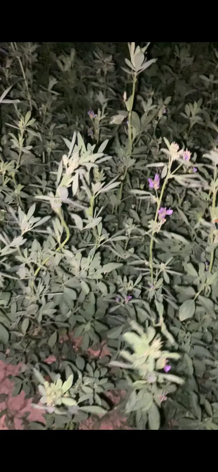 زمین کشاورزی و آب|فروش دفتر صنعتی، کشاورزی، تجاری|رامند, |دیوار