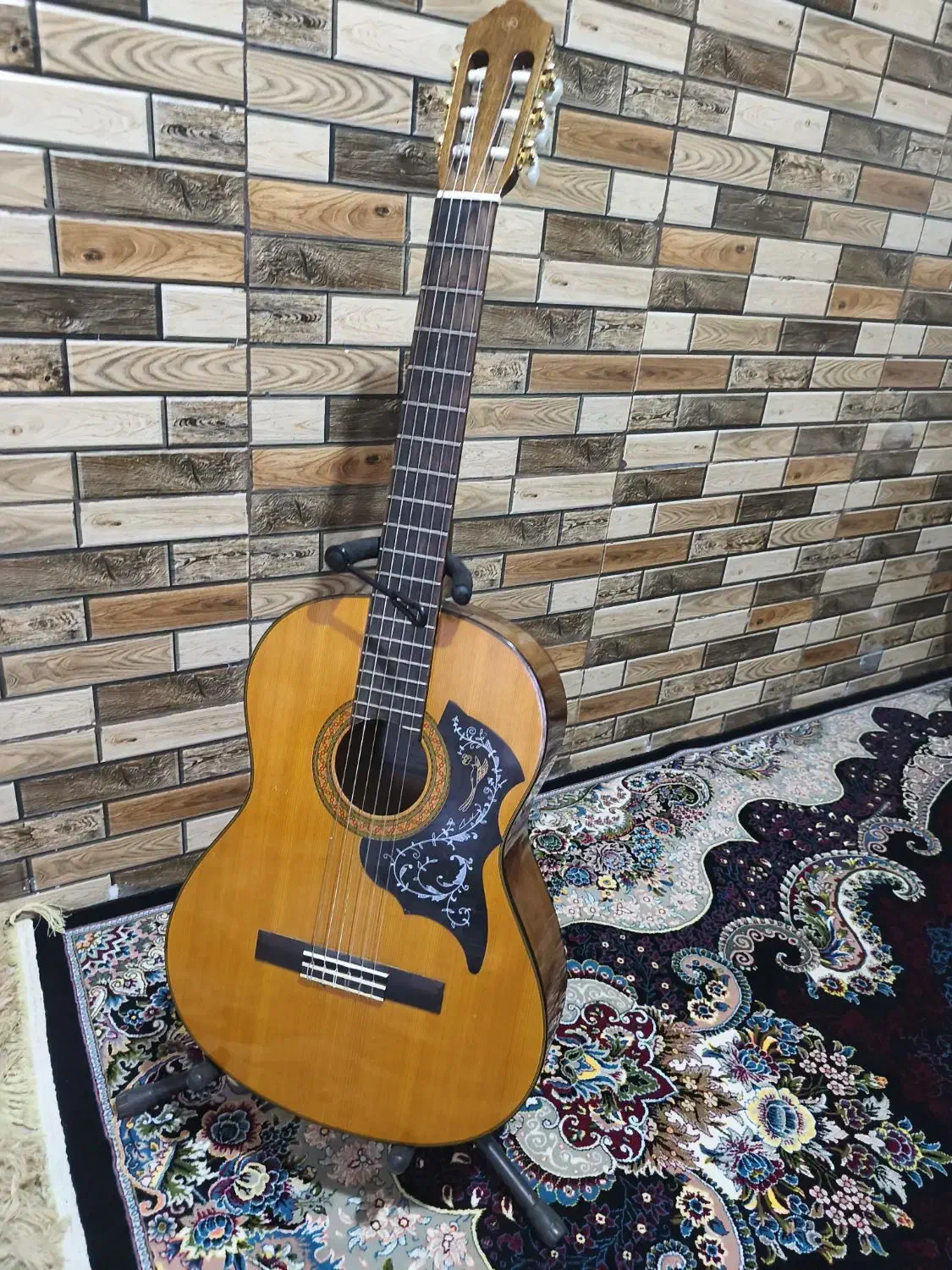 گیتار C70 یاماها اصل اندونزی کلکسیونی|گیتار، بیس، امپلیفایر|مرودشت, ابوذر شمالی‎|دیوار