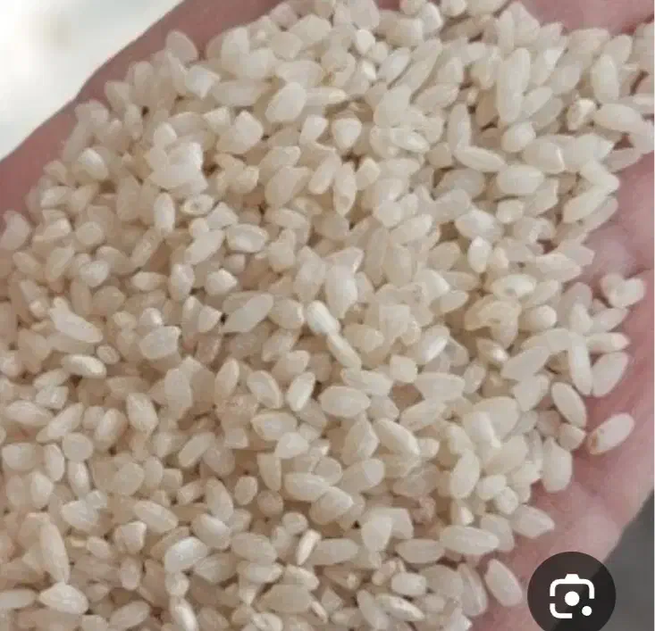 برنج گردی|خوردنی و آشامیدنی|مریوان, |دیوار