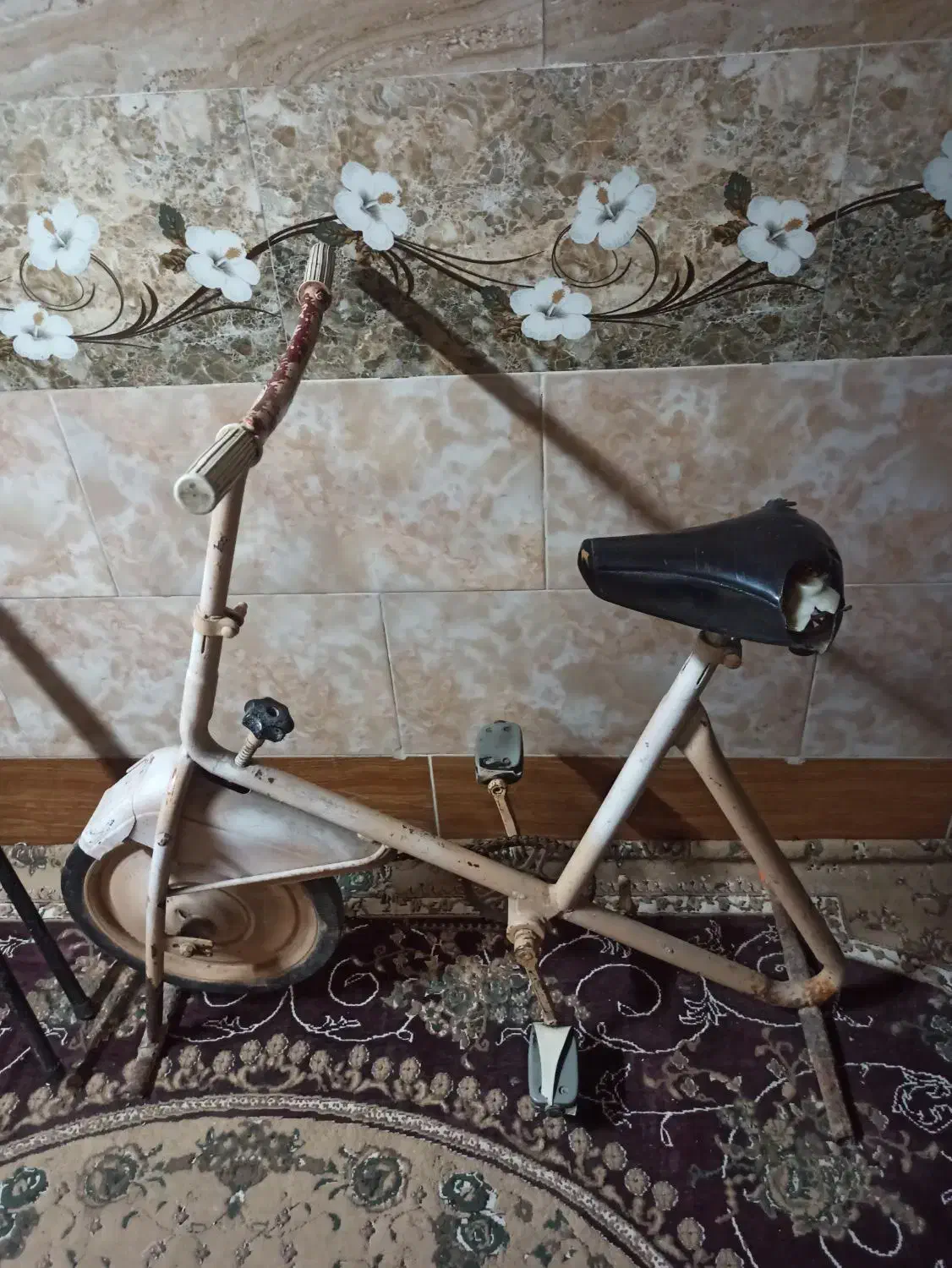 ورزشی|تجهیزات ورزشی|رشت, لاکان|دیوار