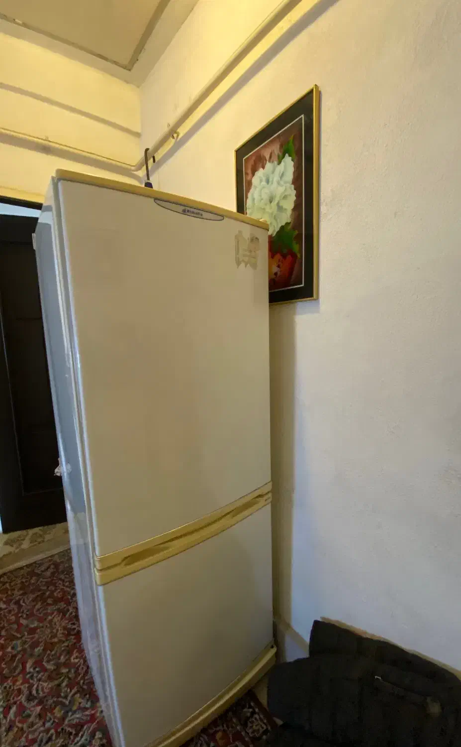 پخچال فریزر|یخچال و فریزر|رشت, جهاد|دیوار