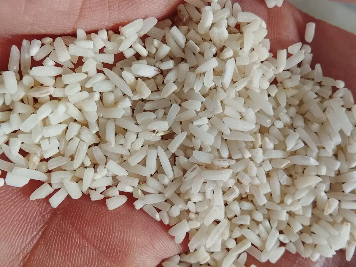 برنج فروشی|خوردنی و آشامیدنی|رضوانشهر, |دیوار