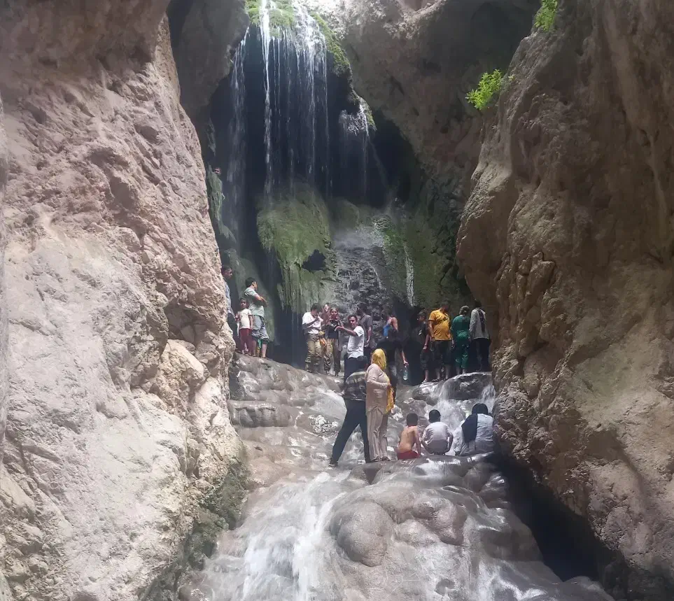 راهنمایی برای طبیعت گردی جنگل|تور و چارتر|مشهد, دانش|دیوار
