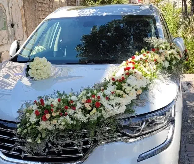 ماشین عروس|گل و گیاه طبیعی|شیراز, خلدبرین|دیوار