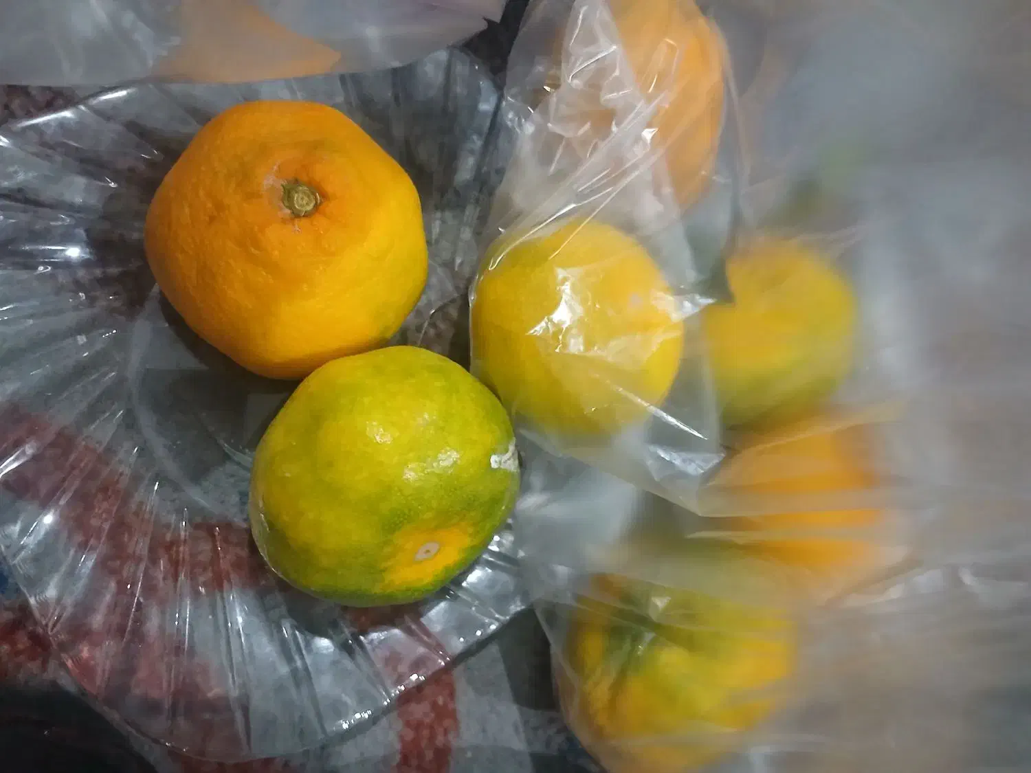 آموزشگاه رانندگی موتورسیکلت|خدمات آموزشی|مهریز, |دیوار