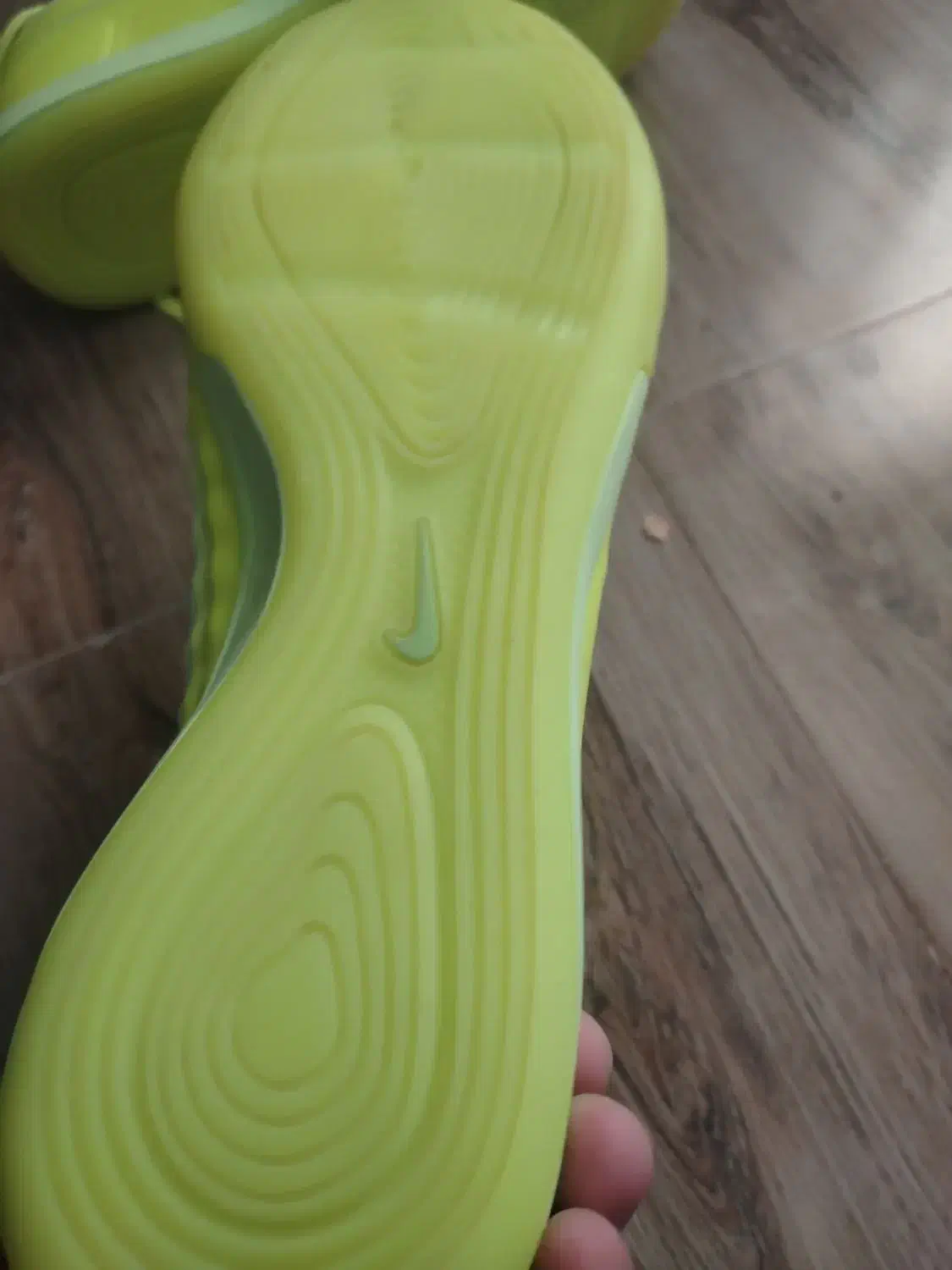 کفش سالنی|کیف، کفش، کمربند|نیشابور, خط کاشمر|دیوار