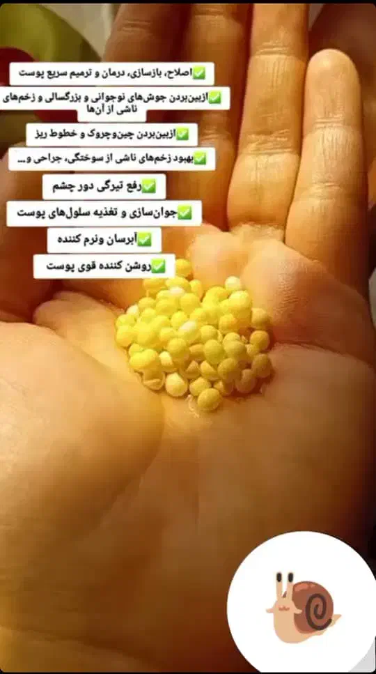 تخفیف ویژه خاویار مخصوص شب یلدا پک1000تایی 300|خزنده|شیراز, شهرک مهدی‌آباد|دیوار