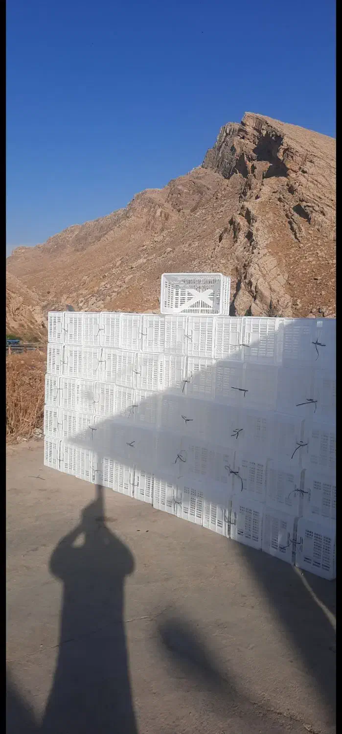 سبد ۲۰ کیلویی درجه ۱ مواد‌اولیه|ظروف نگهدارنده، پلاستیکی، یک‌بارمصرف|کوهدشت, |دیوار