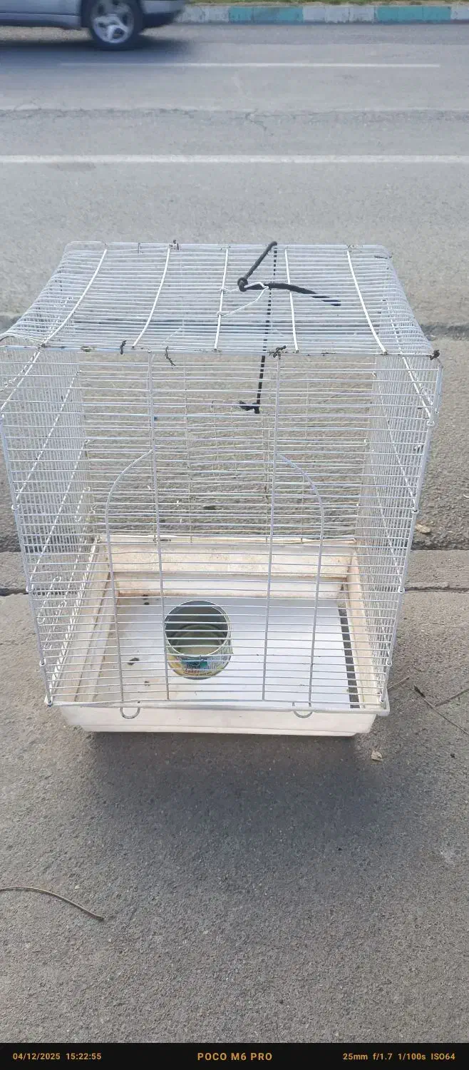 قفس خوب ودرجه یک|پرنده|بانه, |دیوار