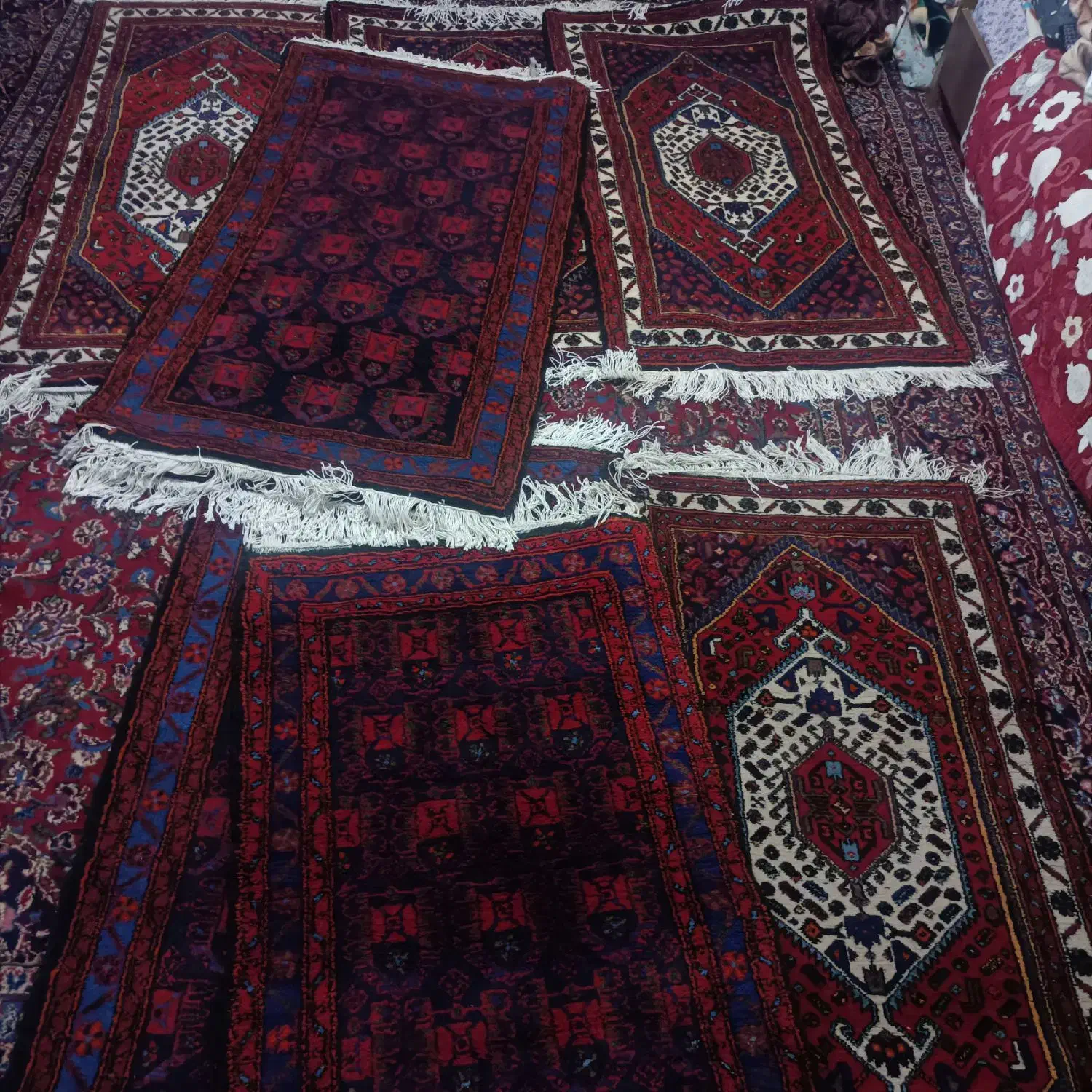 فرش دست بافت نو|فرش|ابهر, |دیوار