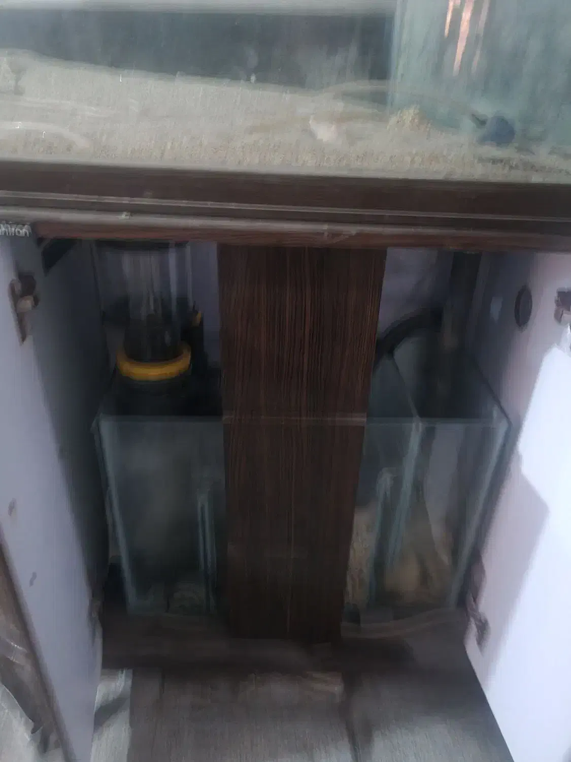 آکواریوم شور با شیشه مخصوص با وسایل خارجی|ماهی|تبریز, |دیوار