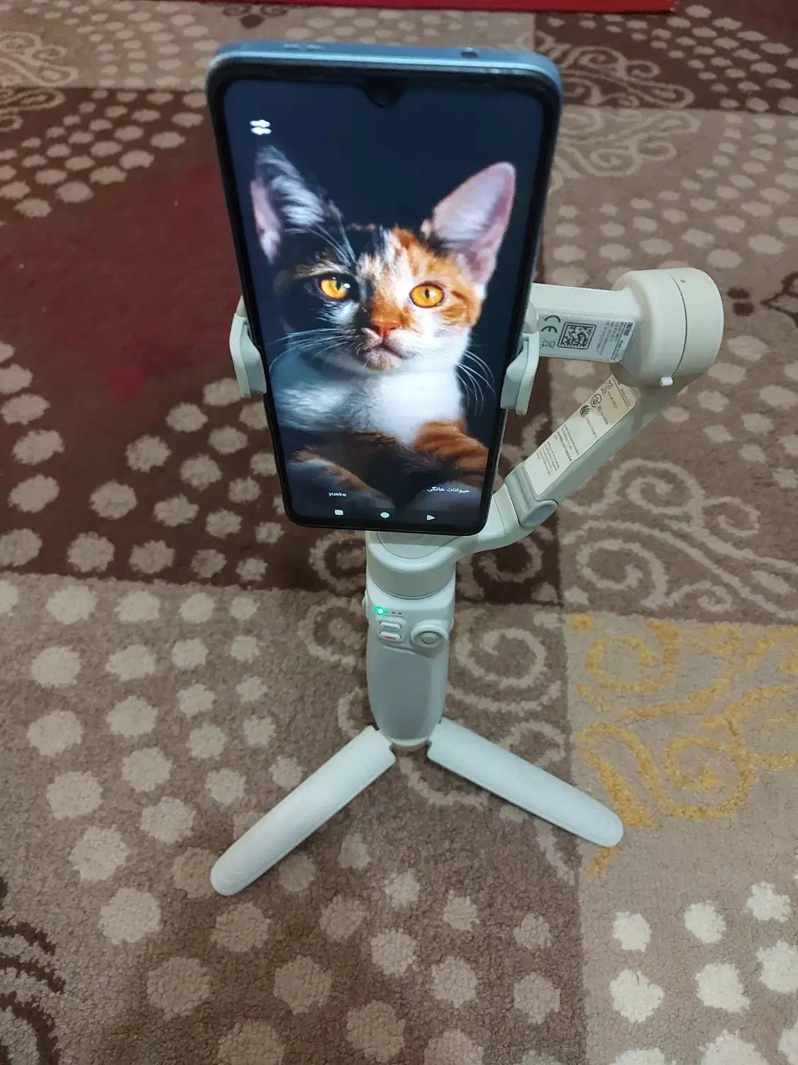 گیمبال ژیون  Q4 سه پایه هوشمند C17|دوربین عکاسی و فیلم‌برداری|تهران, شهرآرا|دیوار