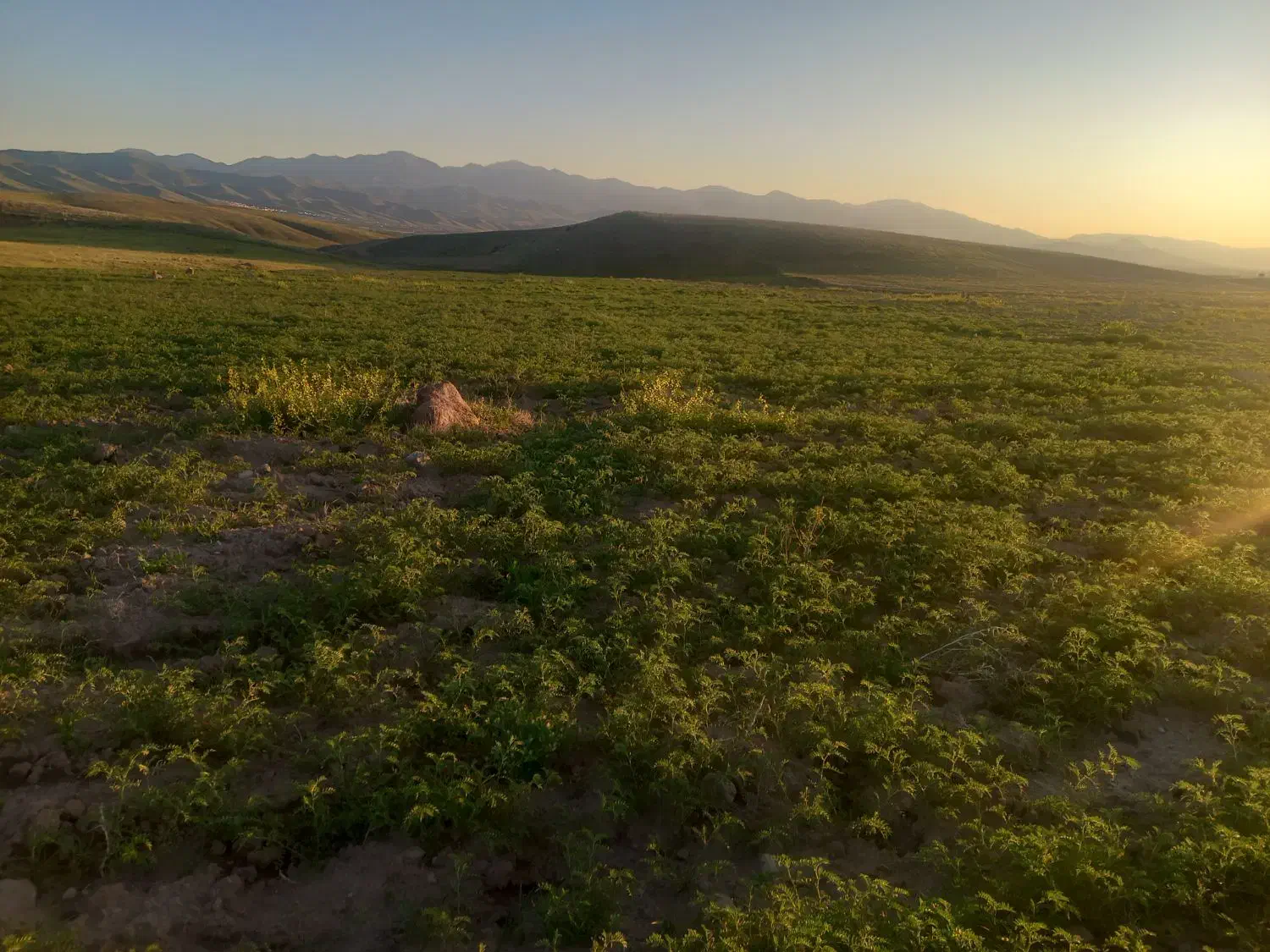 فروش قطعه زمین در اطراف سد بناب مرند|فروش دفتر صنعتی، کشاورزی، تجاری|مرند, |دیوار