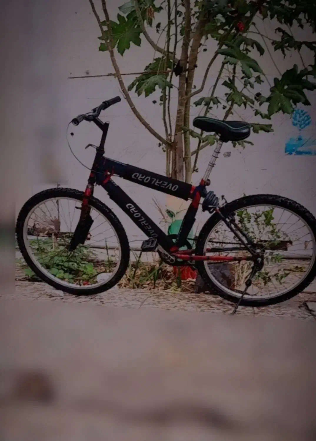 خرمشهر|دوچرخه، اسکیت، اسکوتر|خرمشهر, |دیوار