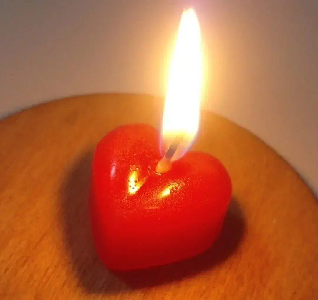 شمع|صنایع دستی و سایر لوازم تزئینی|بجستان, |دیوار